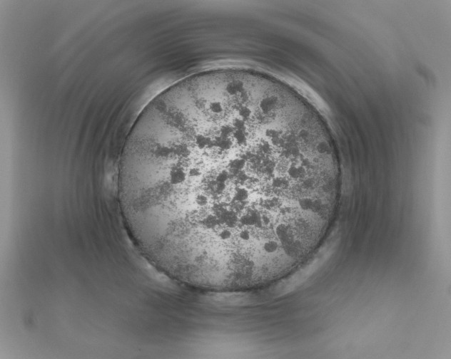 X0000112380953200909031949