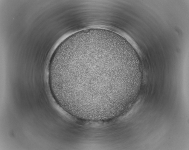 X0000112380955200909031949