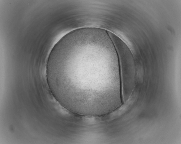 X0000112380956200909031949