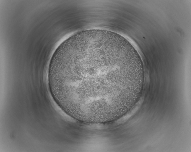 X0000112380957200909031949