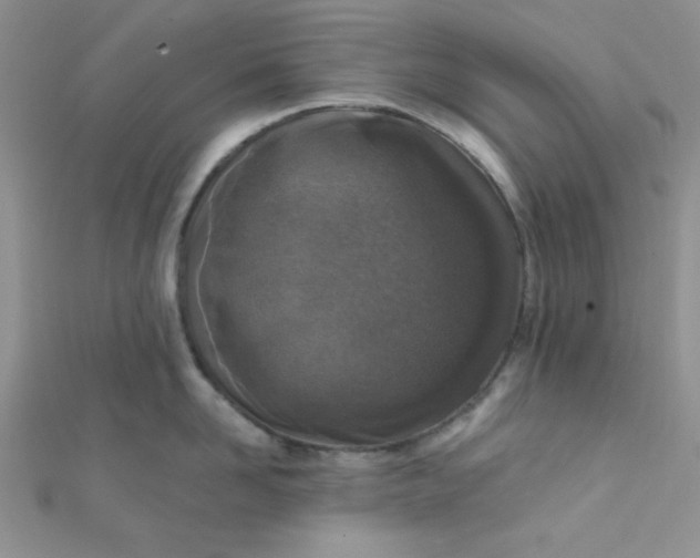 X0000112380958200909031949