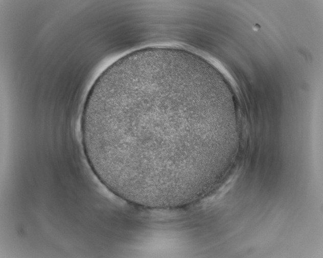 X0000112380959200909031949