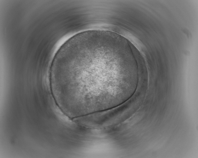 X0000112380960200909031949