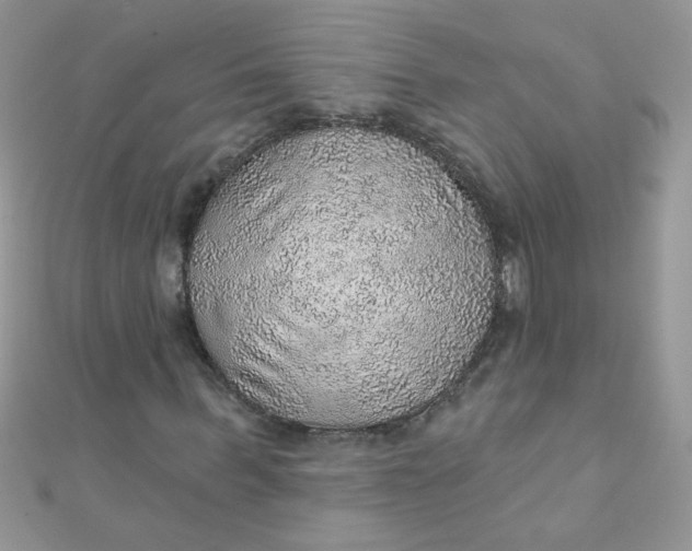 X0000112380963200909031949