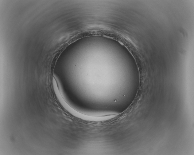 X0000112380965200909031949