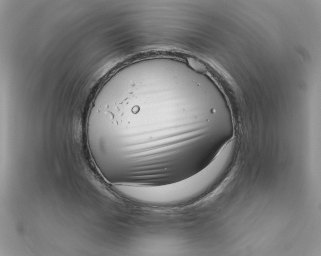 X0000112380969200909031949