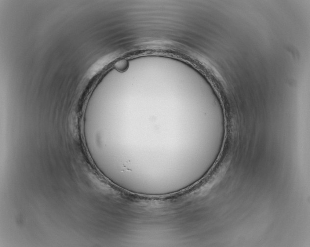 X0000112380970200909031949