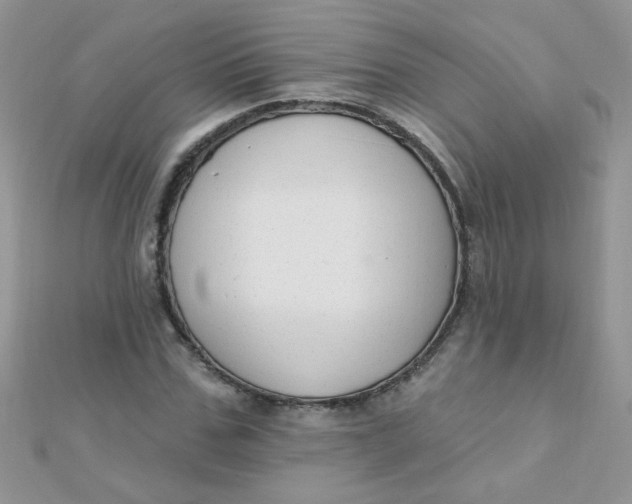 X0000112380971200909031949