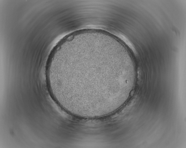 X0000112380972200909031949