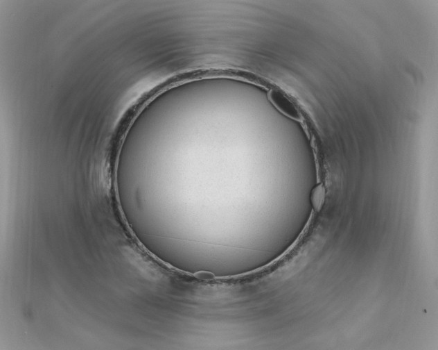 X0000112380973200909031949