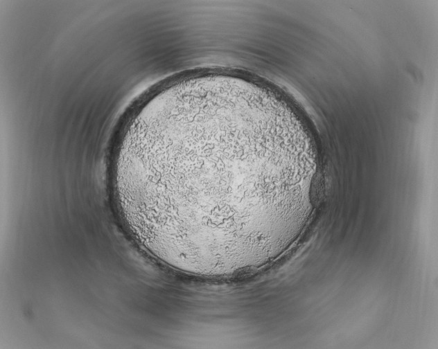 X0000112380975200909031949