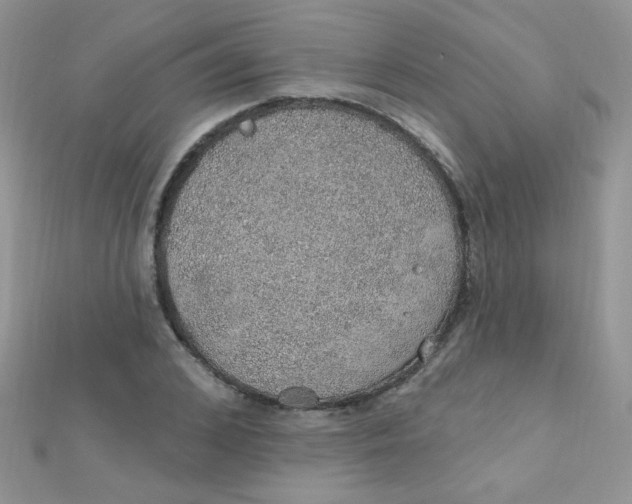 X0000112380976200909031949