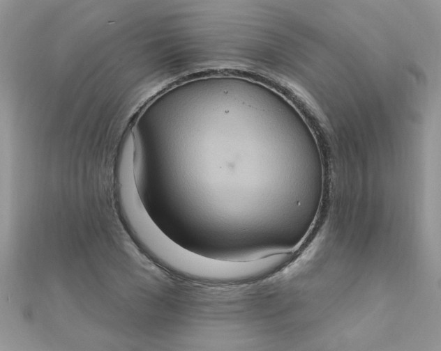 X0000112380977200909031949