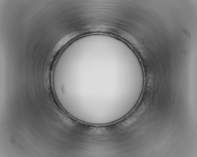 X0000112380978200909031949