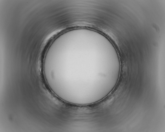 X0000112380979200909031949