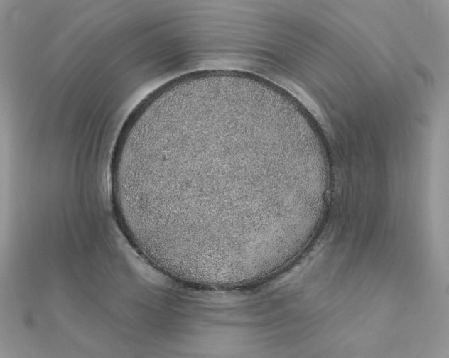 X0000112380980200909031949