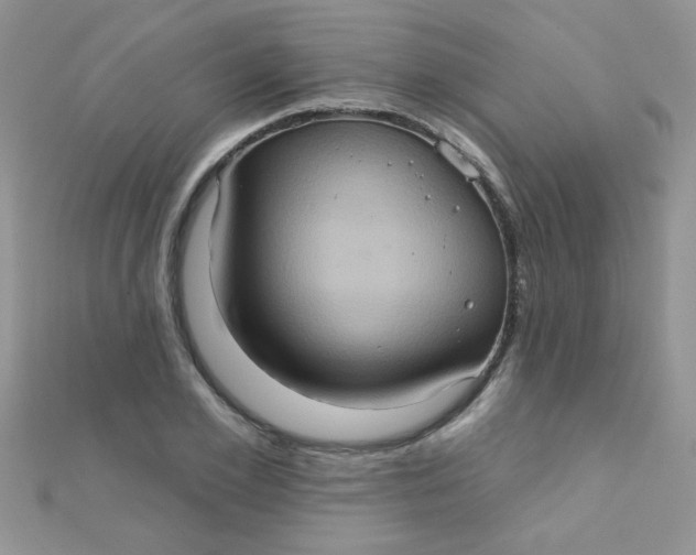 X0000112380981200909031949