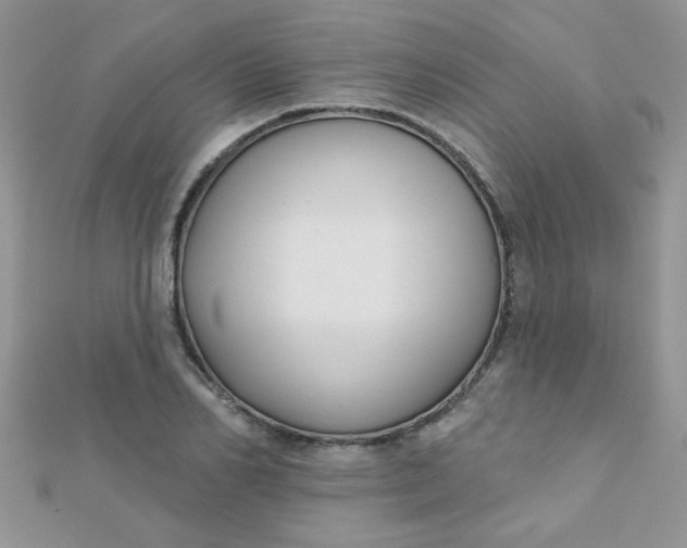 X0000112380982200909031949