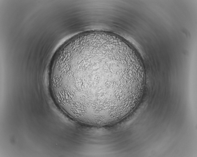 X0000112380983200909031948