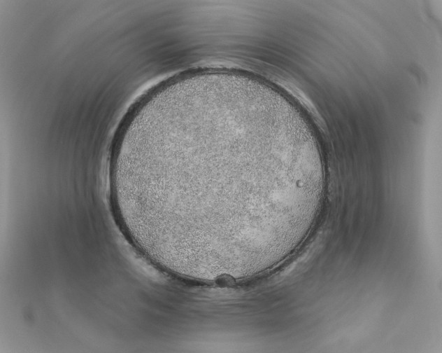 X0000112380984200909031948