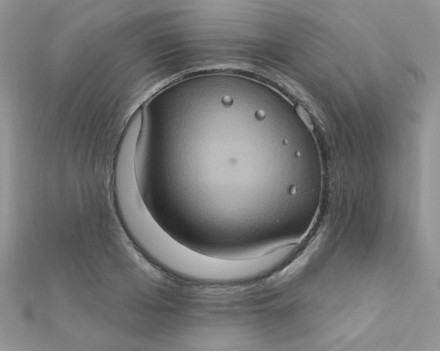 X0000112380985200909031948