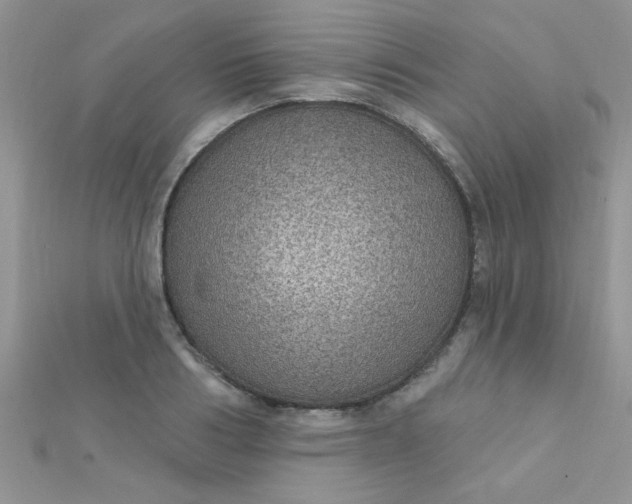 X0000112380986200909031948