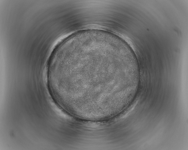 X0000112380987200909031948