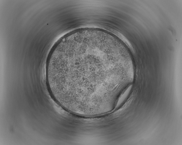 X0000112380988200909031948