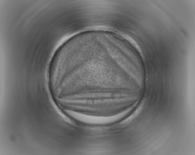 X0000112380989200909031948