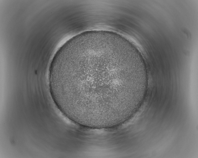 X0000112380990200909031948