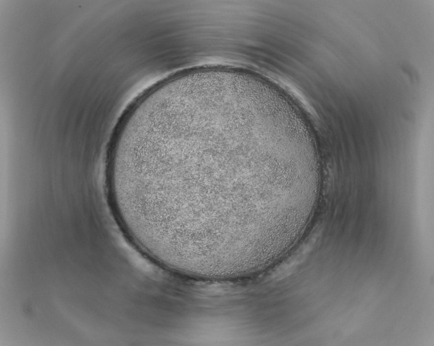 X0000112380991200909031948