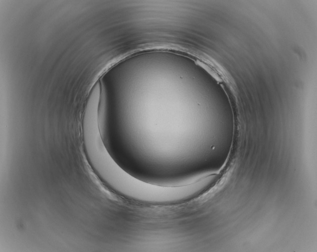 X0000112380993200909031948