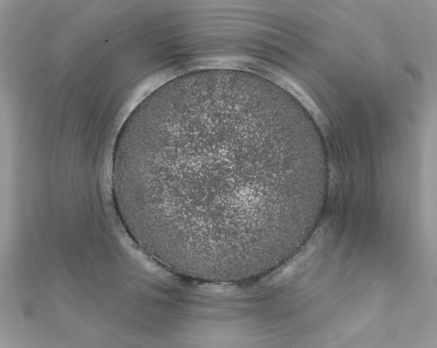 X0000112380994200909031948