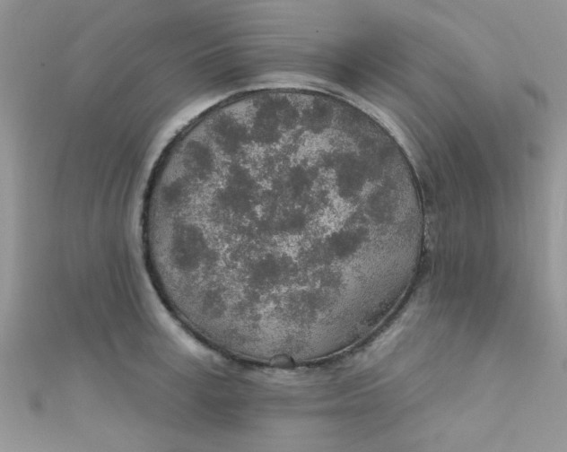 X0000112380995200909031948