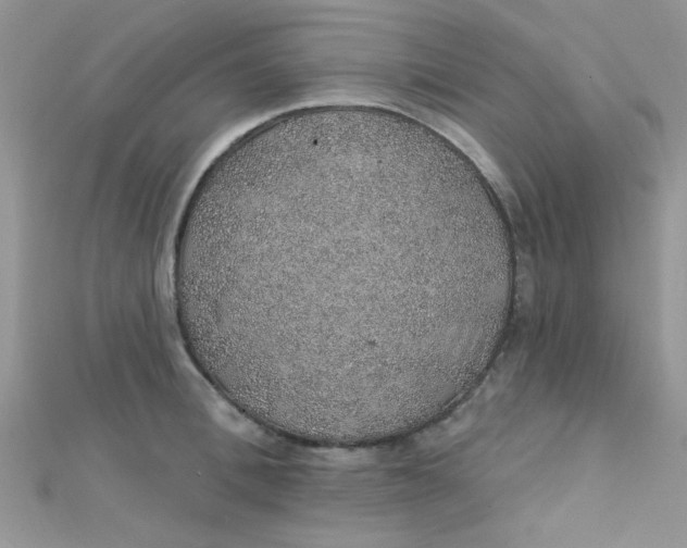 X0000112380996200909031948