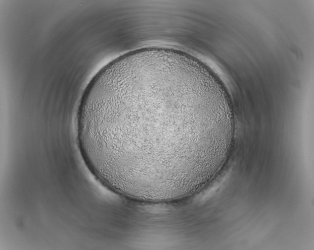 X0000112380999200909031948