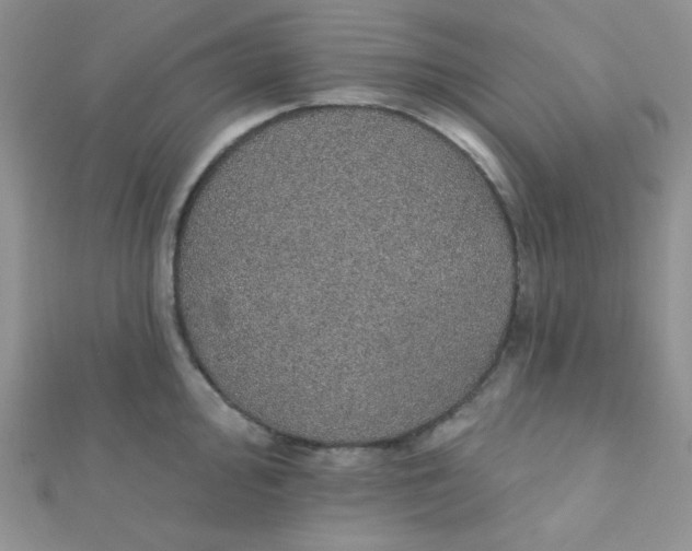 X0000112381000200909031948