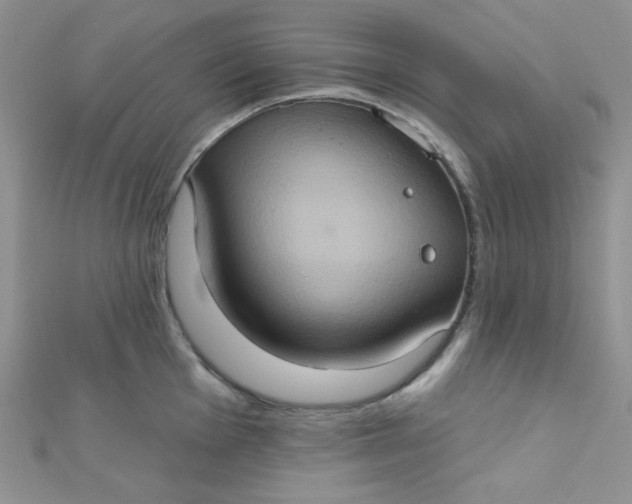 X0000112381001200909031948