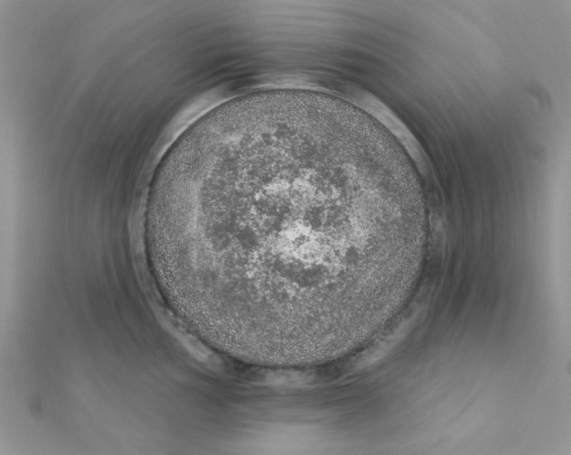 X0000112381002200909031948