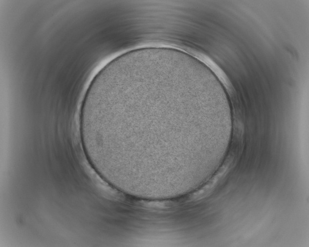 X0000112381004200909031948