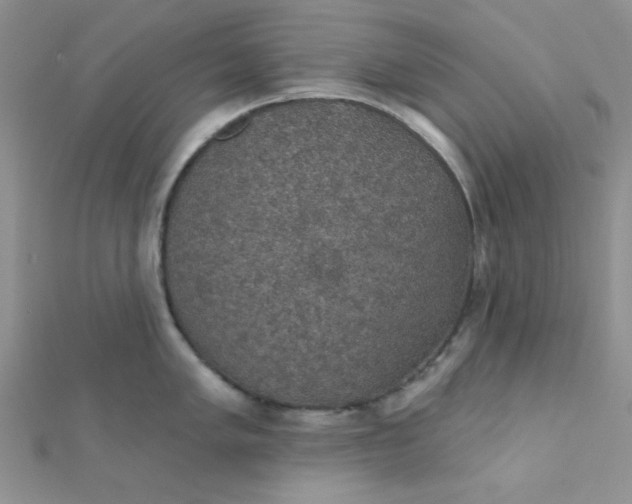 X0000112381005200909031948