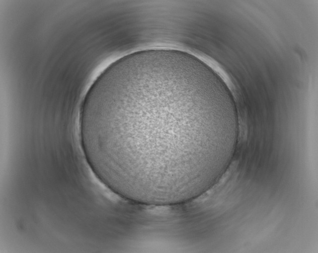 X0000112381006200909031948