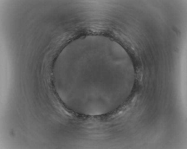 X0000112381009200909031948