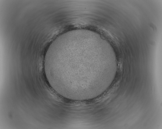 X0000112381012200909031948