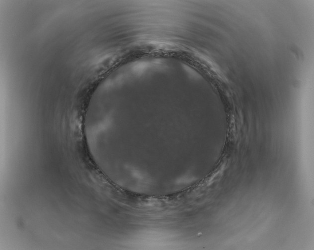 X0000112381013200909031948