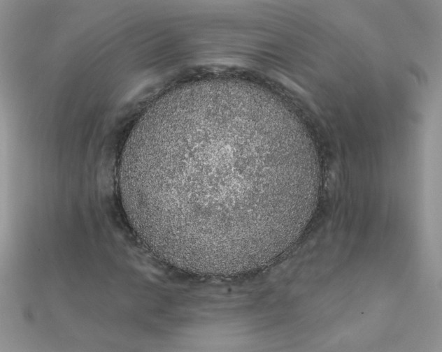 X0000112381014200909031948