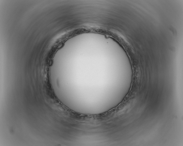 X0000112381016200909031948