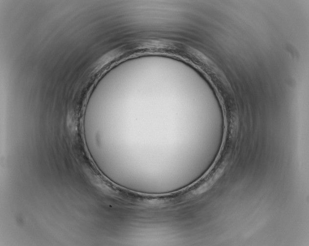 X0000112381017200909031948