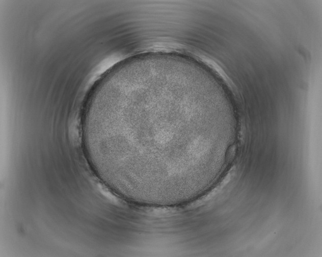 X0000112381018200909031948