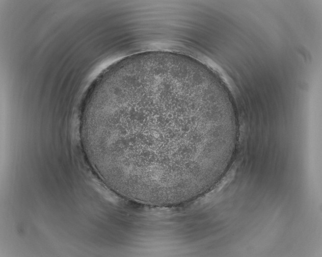 X0000112381019200909031948